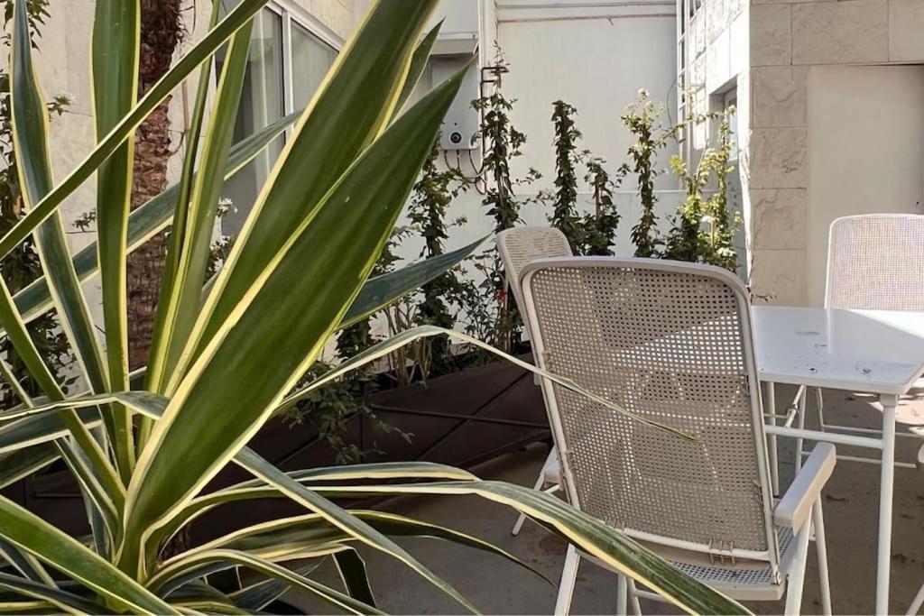Condesa Residence Amsterdam D Sunny 2Bed 1Bath Apt In Condesa Mexiko-Stadt Exterior foto