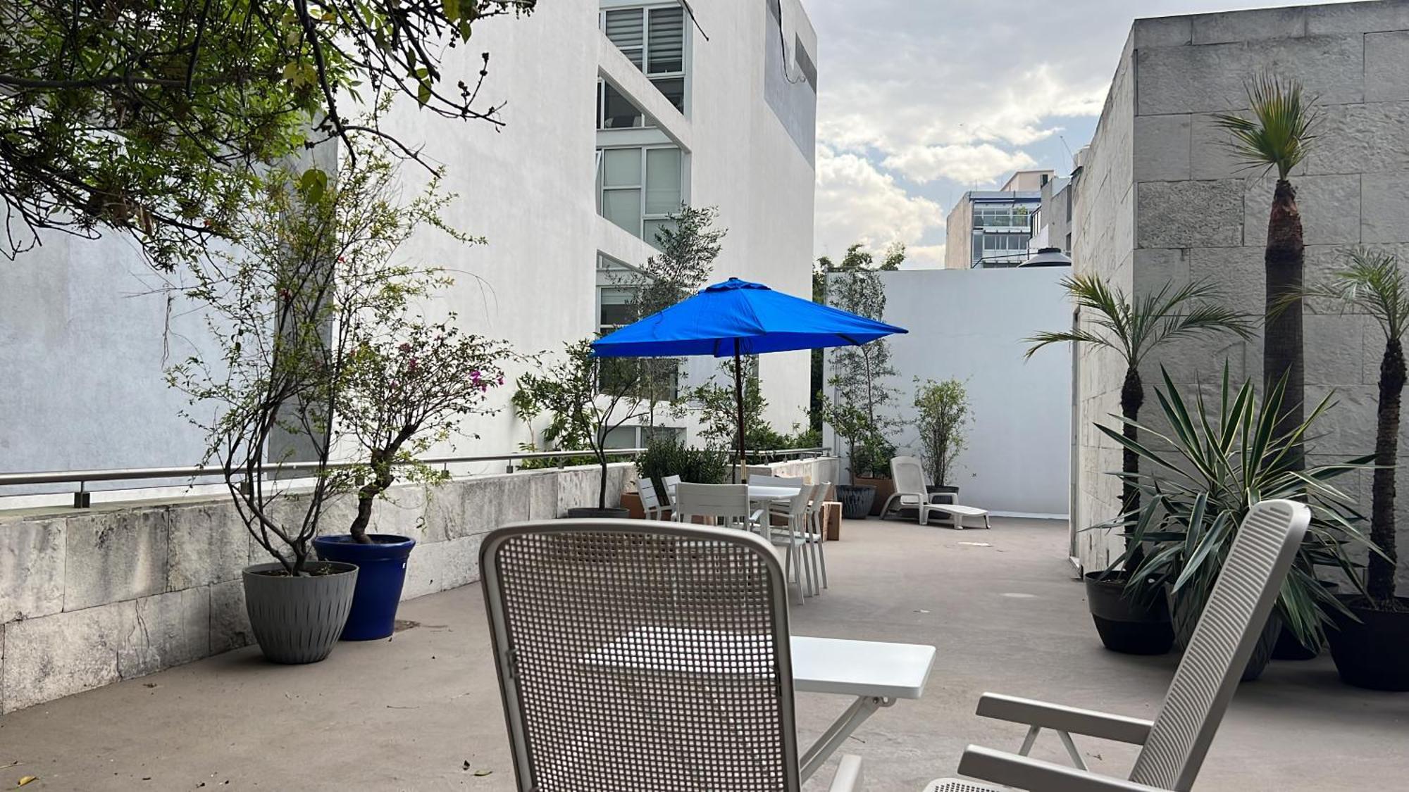 Condesa Residence Amsterdam D Sunny 2Bed 1Bath Apt In Condesa Mexiko-Stadt Exterior foto